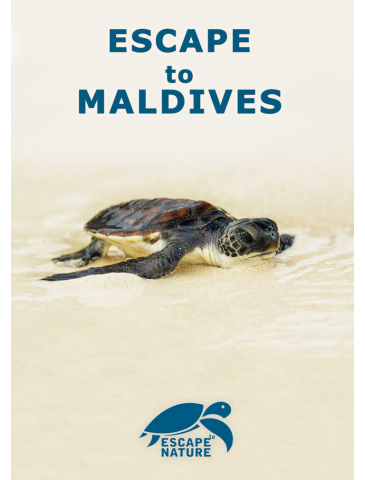 Escape to Maldives