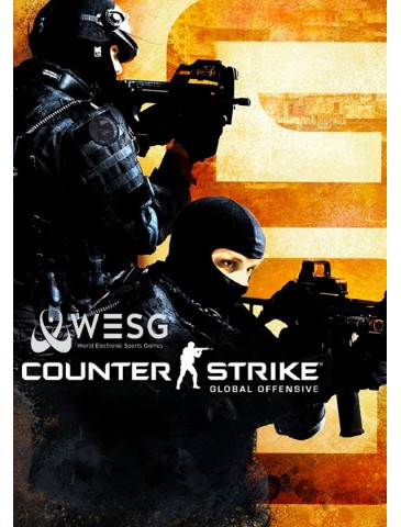 CS:GO