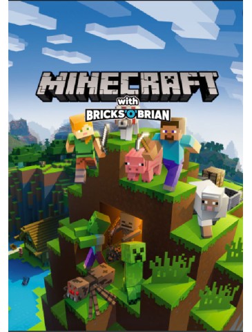 Minecraft Franchise
