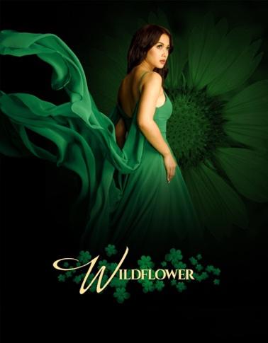 Wildflower Season 2